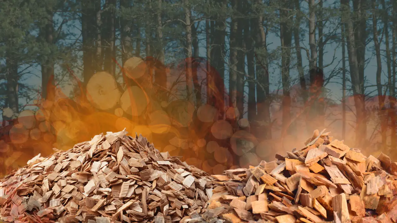 Dăm gỗ, củi băm, gỗ băm