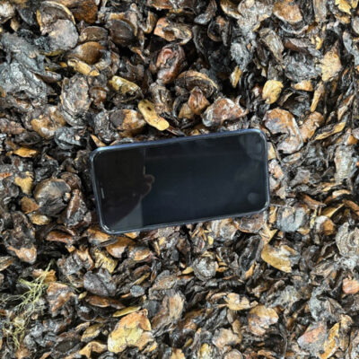 Vỏ hạt điều, bã vỏ hạt điều