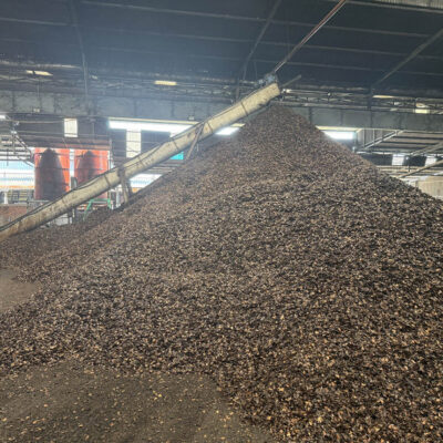 Vỏ hạt điều, bã vỏ hạt điều