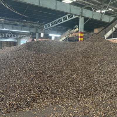 Vỏ hạt điều, bã vỏ hạt điều