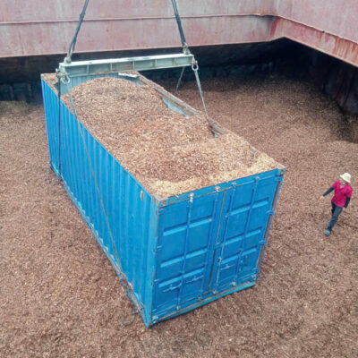 Dăm gỗ Việt Nam