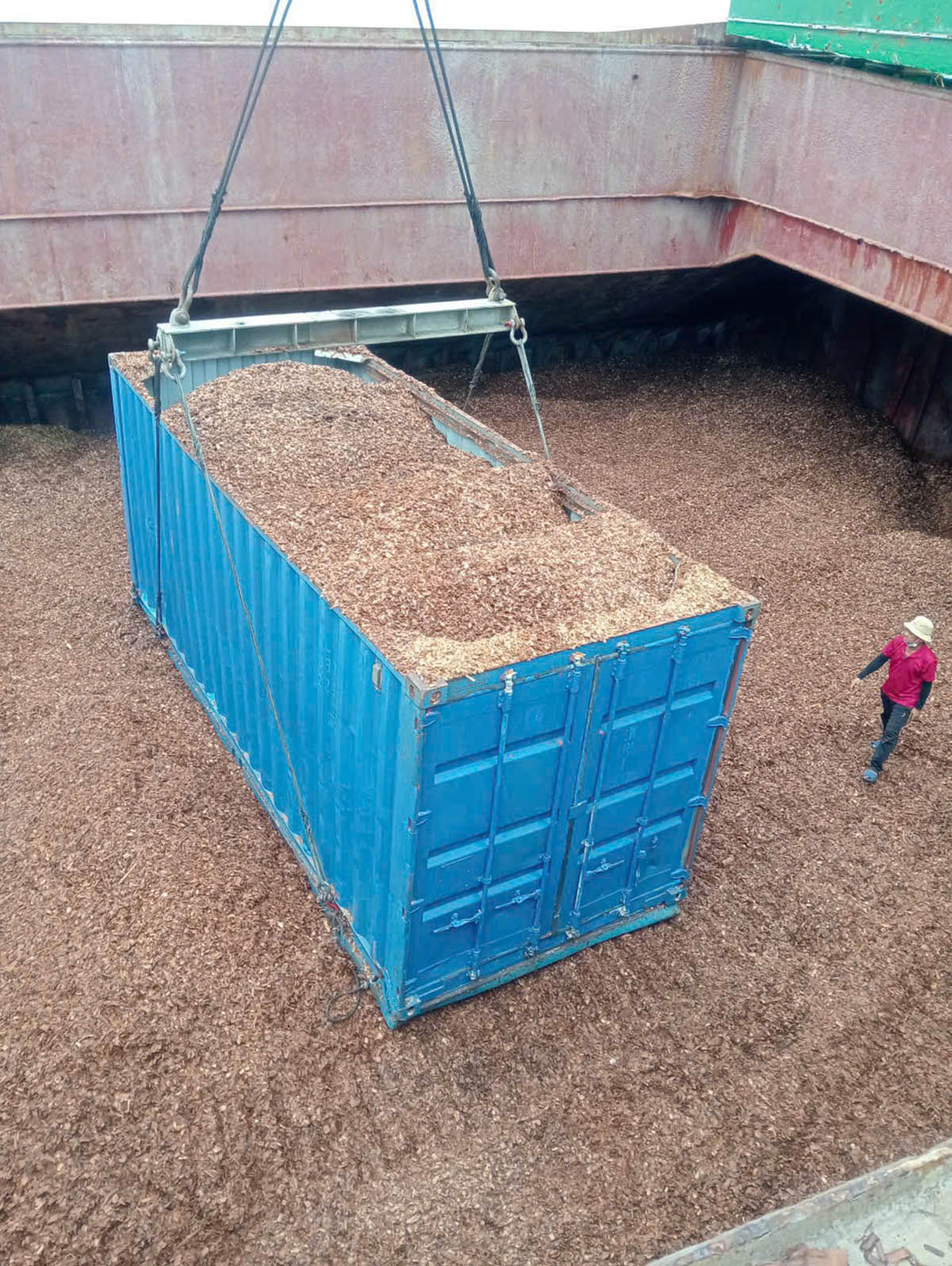 Dăm gỗ Việt Nam