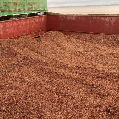 Dăm gỗ Việt Nam