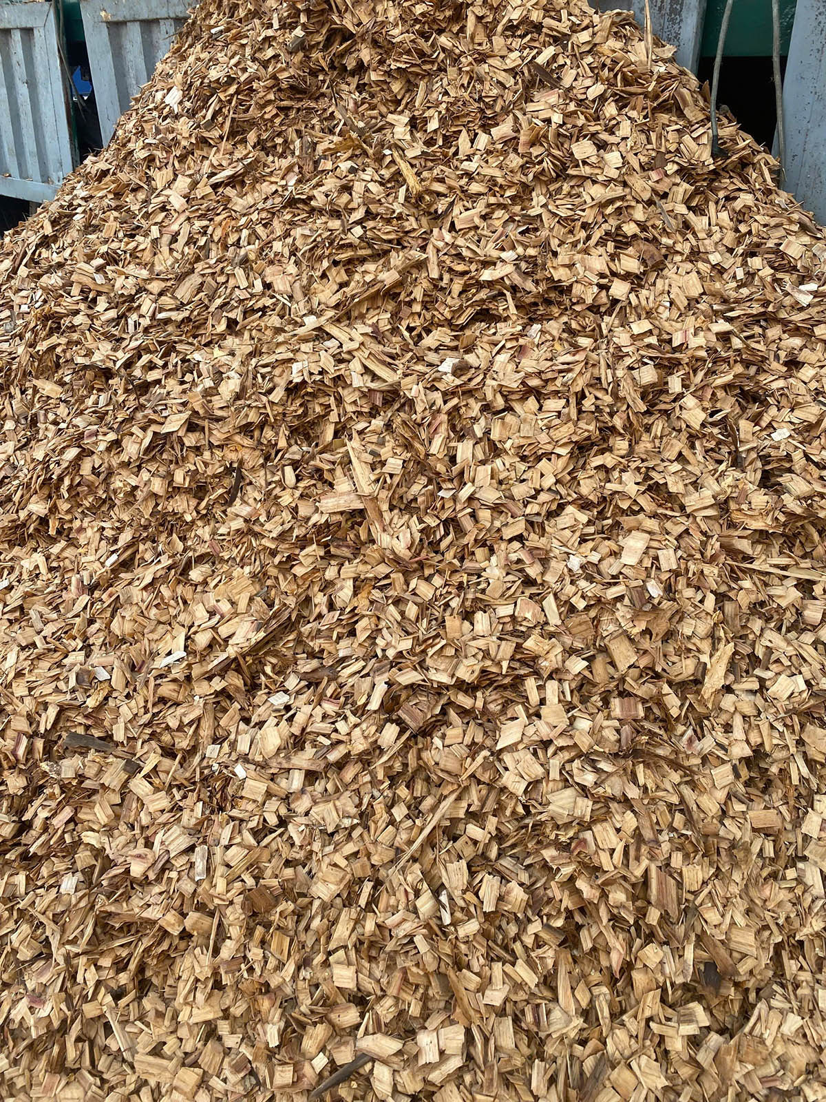 Dăm gỗ Việt Nam